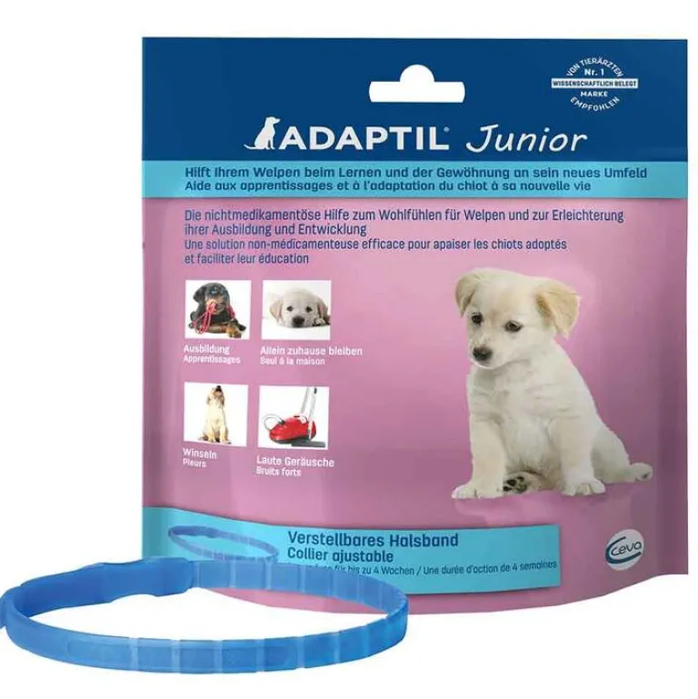 Adaptil Junior Halsband für Hundewelpen, 1 St- Beruhigungsmittel Hund