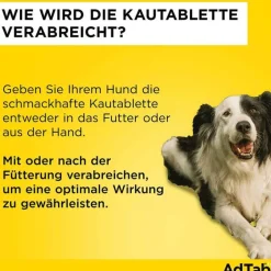 Adtab Flöhe, Zecken & Co.-™ Kautabletten für große Hunde 450 mg 11 bis 22 kg, 3 St
