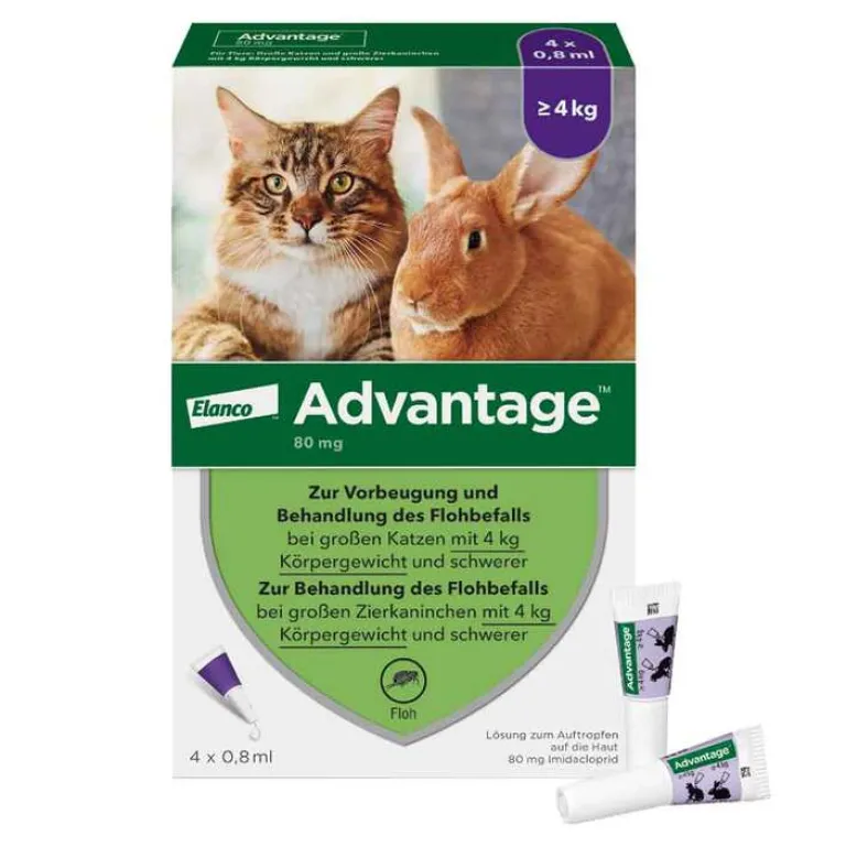 Advantage Nager|Flöhe, Zecken & Co.-80 für große Katzen und Zierkaninchen ab 4 kg, 4X0.8 ml