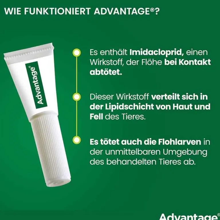 Advantage Nager|Flöhe, Zecken & Co.-80 für große Katzen und Zierkaninchen ab 4 kg, 4X0.8 ml