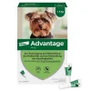 Advantage 40 für Hunde bis 4 kg, 4 St- Flöhe, Zecken & Co.