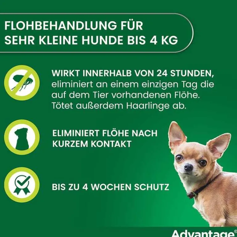 Advantage 40 für Hunde bis 4 kg, 4 St- Flöhe, Zecken & Co.