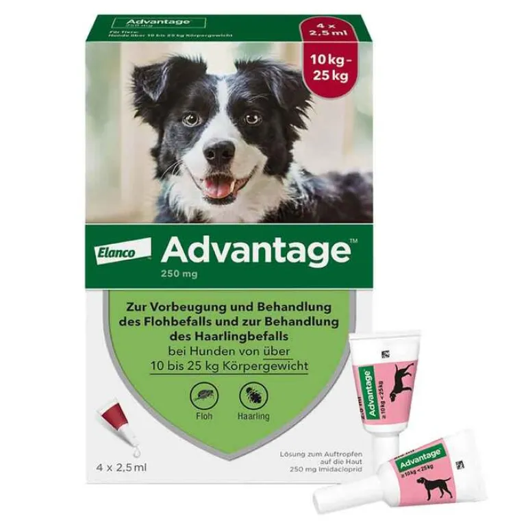 Advantage 250 für Hunde von 10-25 kg, 4 St- Flöhe, Zecken & Co.