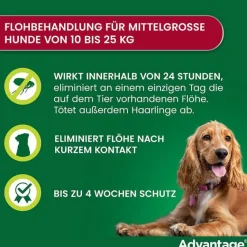 Advantage 250 für Hunde von 10-25 kg, 4 St- Flöhe, Zecken & Co.