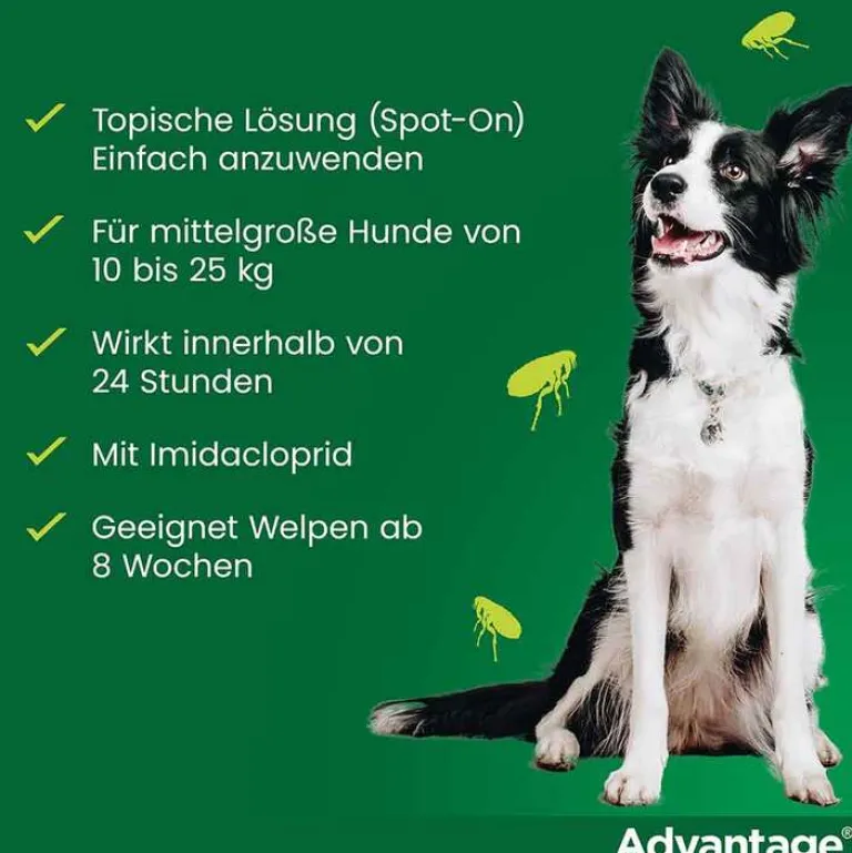 Advantage 250 für Hunde von 10-25 kg, 4 St- Flöhe, Zecken & Co.