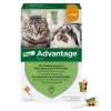 40 für kleine Katzen und Zierkaninchen unter 4 kg, 4X0.4 ml^Advantage