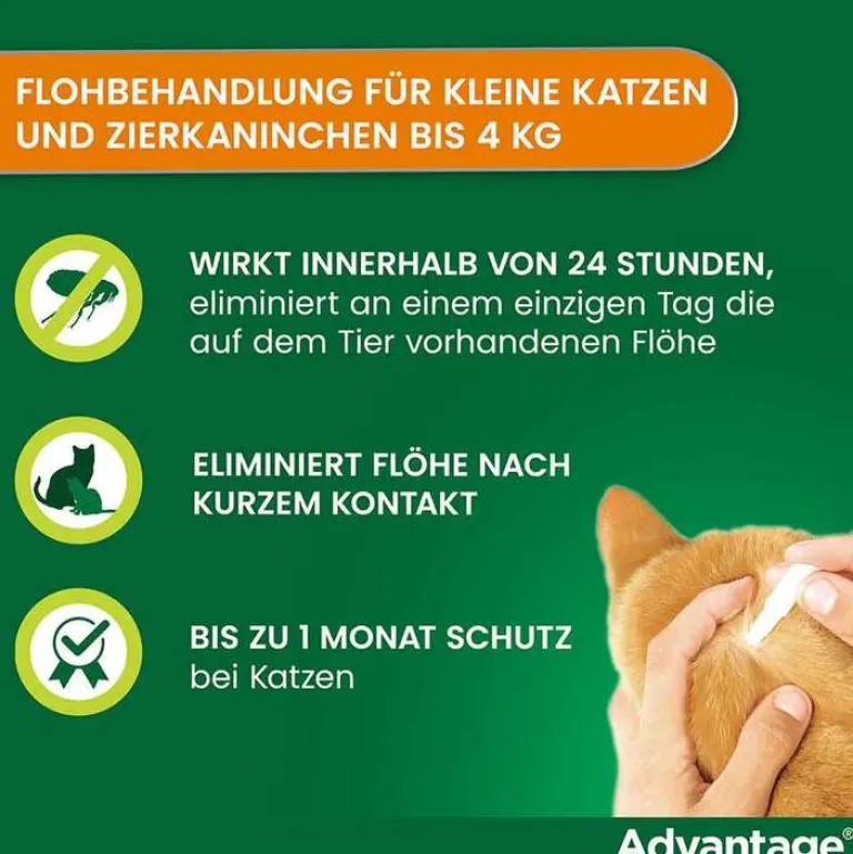 40 für kleine Katzen und Zierkaninchen unter 4 kg, 4X0.4 ml^Advantage