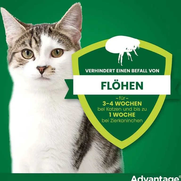 40 für kleine Katzen und Zierkaninchen unter 4 kg, 4X0.4 ml^Advantage