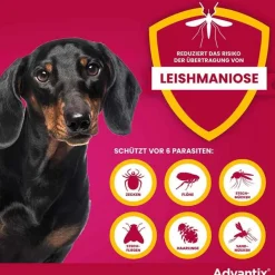 Spot-on Hund bis 4 kg Lösung, 4 St^Advantix Online