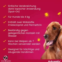 Spot-on Hund bis 4 kg Lösung, 4 St^Advantix Online
