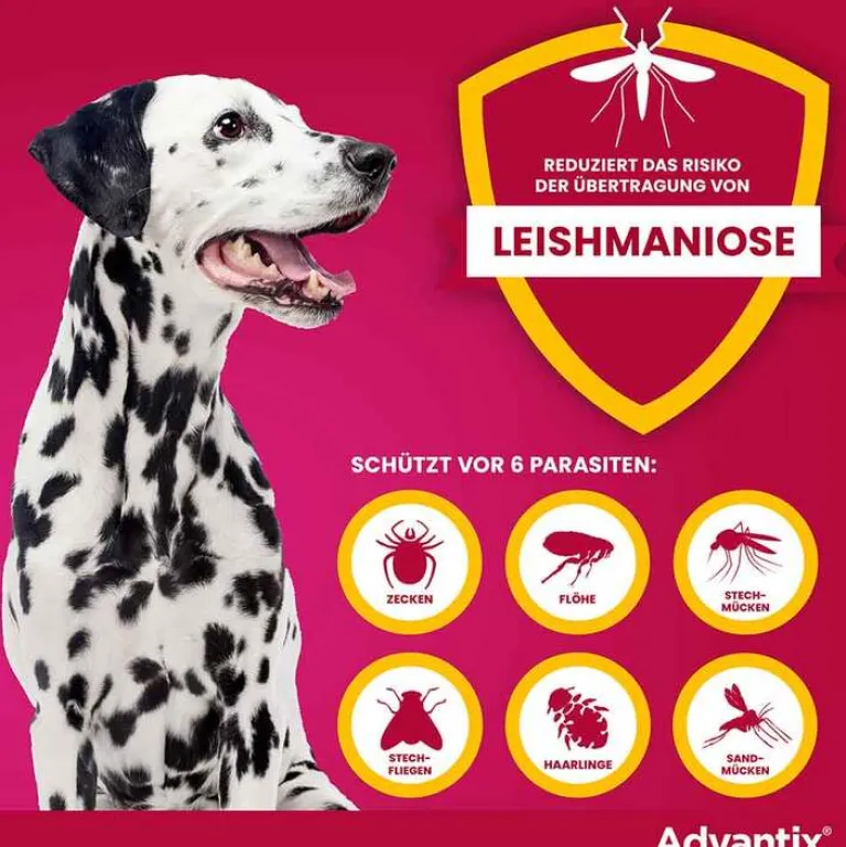 Flöhe, Zecken & Co.-Advantix Spot-on Lösung z.Auftr.a.d.H.für Hund 40 - 60 kg, 4X6.0 ml