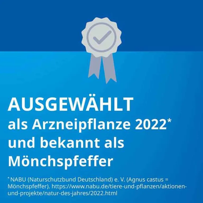 Stada Agnus castus ® Filmtabletten, 100 St- Pms Behandeln