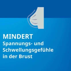 Stada Agnus castus ® Filmtabletten, 100 St- Pms Behandeln