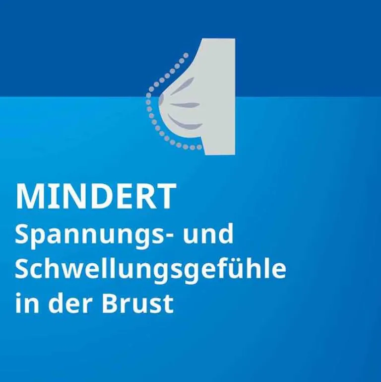 Stada Agnus castus ® Filmtabletten, 60 St- Pms Behandeln