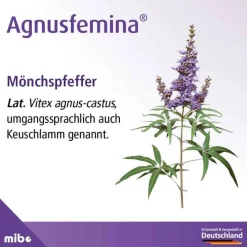 Agnusfemina Pms Behandeln-4 mg Filmtabletten , 60 St