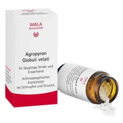 Agropyron Globuli Velati, 20 g^Wala Hot