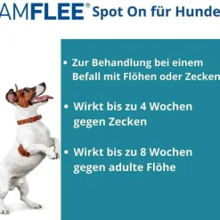 Amflee 67 mg für kleine Hunde, 3 St- Flöhe, Zecken & Co.