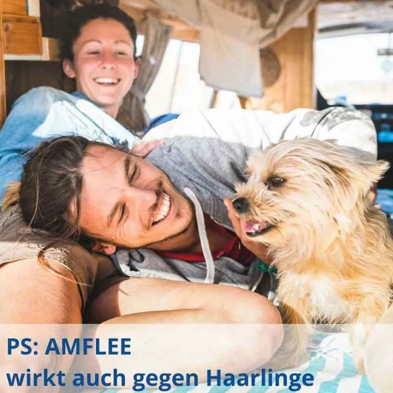 Amflee 134 mg Spot-On Lösung für mittelgroße Hunde, 3 St- Flöhe, Zecken & Co.