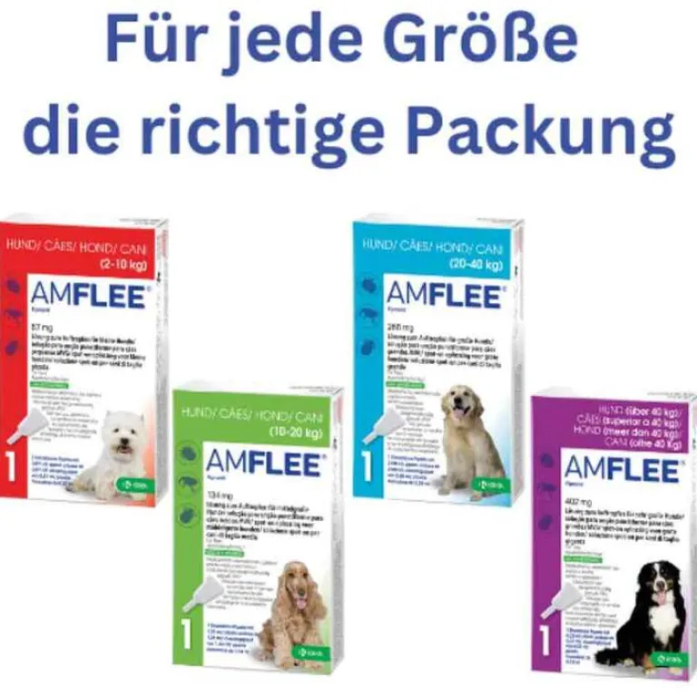 Amflee 134 mg Spot-On Lösung für mittelgroße Hunde, 3 St- Flöhe, Zecken & Co.