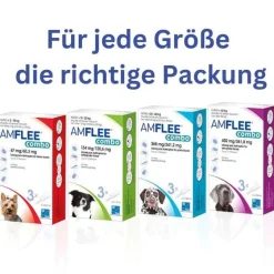 Amflee combo 67/60,3 mg Lösung zum Auftropfen für Hunde 2-10 kg, 3 St- Flöhe, Zecken & Co.