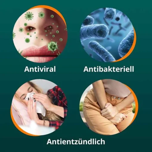 Anti-Infekt N Filmtabletten, 500 St^Angocin Hot
