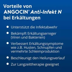 Anti-Infekt N Filmtabletten, 500 St^Angocin Hot