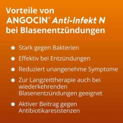 Anti-Infekt N Filmtabletten, 500 St^Angocin Hot