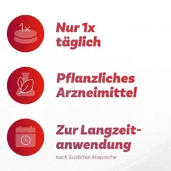 ® extra Venentabletten bei Krampfadern, 90 St^Antistax Best