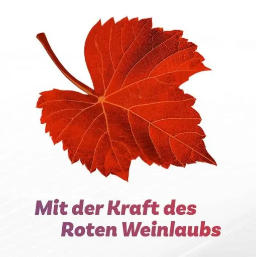 ® extra Venentabletten bei Krampfadern, 90 St^Antistax Best