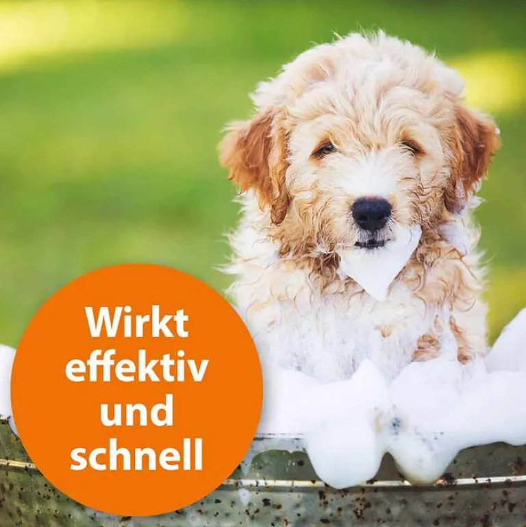 Anti-Floh Hundeshampoo, 250 ml^ARDAP Online