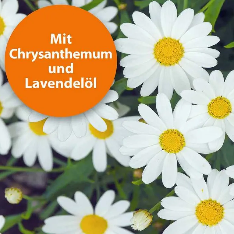 Flohspray zur Anwendung am Tier, 250 ml^ARDAP Hot