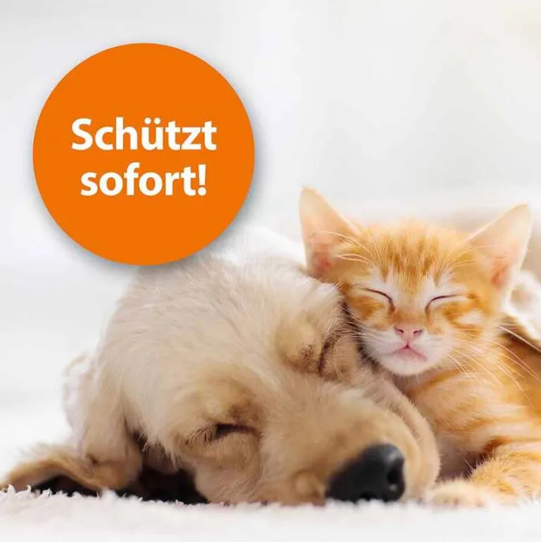 Flohspray zur Anwendung am Tier, 250 ml^ARDAP Hot