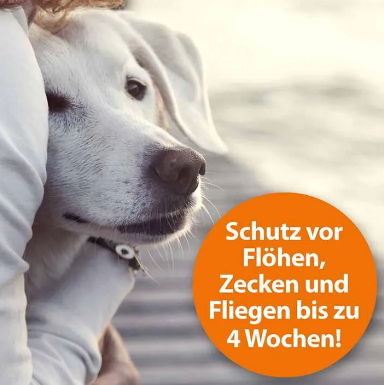 Flohspray zur Anwendung am Tier, 250 ml^ARDAP Hot