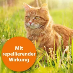 ARDAP Spot-On für kleine Katzen bis 4 kg, 3 St- Flöhe, Zecken & Co.
