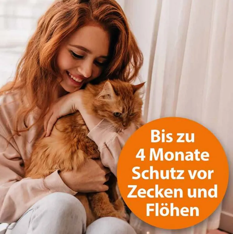 Zecken- / Flohschutzhalsband Katzen ab 4. Monat, 1 St^ARDAP Best