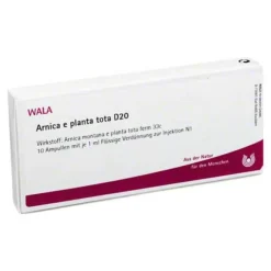 Arnica E Planta tota D 20 Ampullen, 10X1 ml^ Best