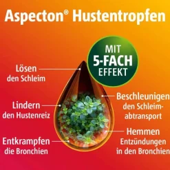 Aspecton Hustenlöser-® Hustentropfen, 50 ml