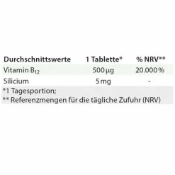 B12 Methylcobalamin Lutschtabletten, 60 St^Dr. Jacobs Online