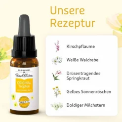 Murnauers Bachblüten Murnauer Original Tropfen nach Dr. Bach, 10 ml- Bachblütentropfen