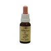 Bachblüten Murnauer Tropfen Elm, 20 ml^Murnauers