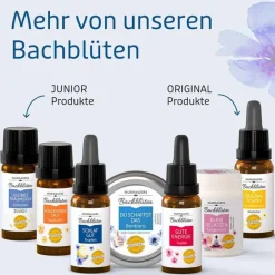 Murnauers Bachblütentropfen-Bachblüten Tropfen Schlaf Gut, 20 ml