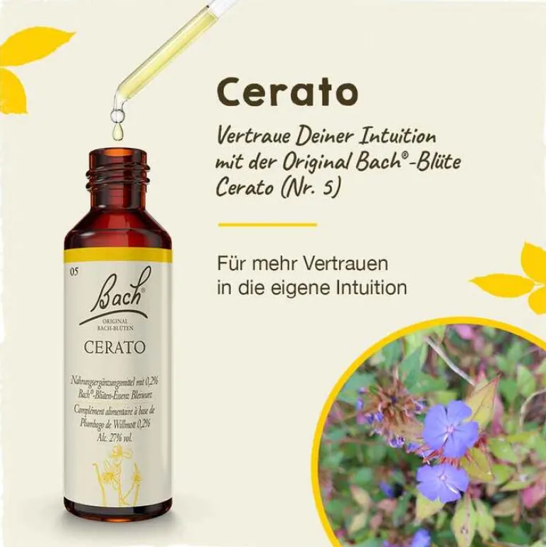 Bachblüten Nr. 5 Cerato Tropfen, 20 ml^Original Bachblüten Outlet