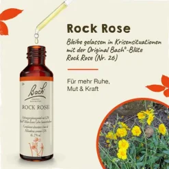 Original Bachblüten Bachblüten Nr. 26 Rock Rose Tropfen, 20 ml- Bachblütentropfen