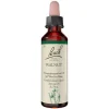 Bachblüten Nr. 33 Walnut Tropfen, 20 ml^Original Bachblüten Best