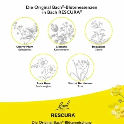 Rescura Bachblüten Original Pets Tropfen alkoholfrei vet. (für Tiere), 10 ml- Beruhigungsmittel Katze|Beruhigungsmittel Hund