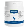Barfers Best Pulver vet. (für Tiere), 500 g^Canina New