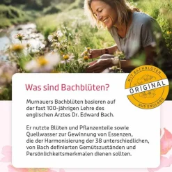 Murnauers BB Gute Energie Tropfen, 20 ml- Bachblütentropfen