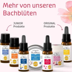 Murnauers BB Gute Energie Tropfen, 20 ml- Bachblütentropfen