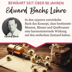 Murnauers BB Gute Energie Tropfen, 20 ml- Bachblütentropfen