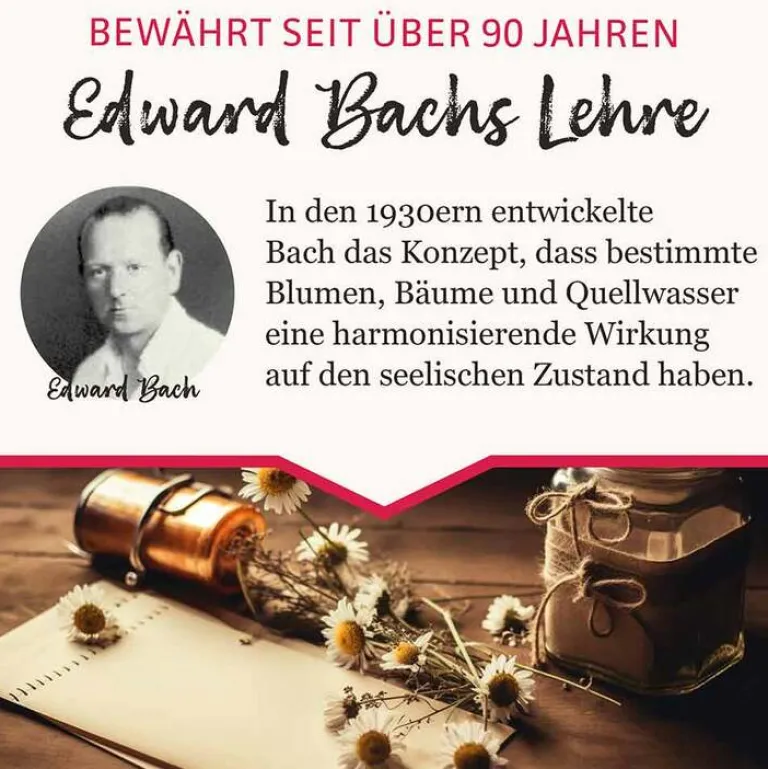 Murnauers BB Gute Energie Tropfen, 20 ml- Bachblütentropfen